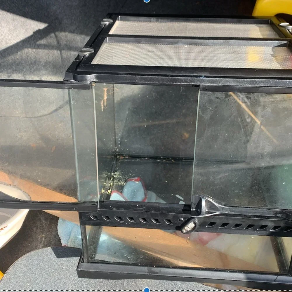 Small Terrarium
